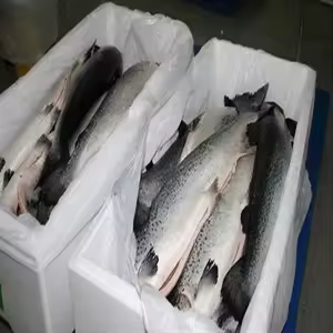 https://nordpollseafood.com/product/atlantic-salmon-for-sale/