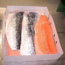 Fresh Salmon Supplier Near Me